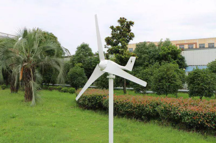 gallery-04 1614536471887